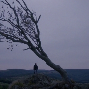 Profile bcb29df2e6596f50ed8b1030b6cbe522 el lugar