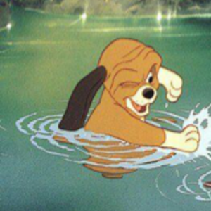 Profile 115ab593fa98ba425cc61802a2bc2286 solroms