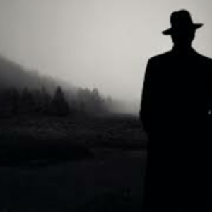 Profile edfbbf786140063f55d358a269b2b2c1 novela negra