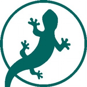 Profile 2bd31c2c0437deb5373bf08f486f812d salamandra