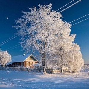 Profile 10d1139ecfbafced11530a39a5c4a7cd desde rusia con