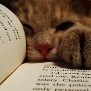 Profile d2df29668ebaa641bd760db461796c63 nothing helps you to open your mind except books  