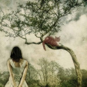 Profile aee80cad8dbab438182abf73d2d6ece2 entretenimiento romantico