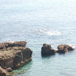 Profile 352872062e4cbdbc18ec65b4019a39ec lecciones de dignidad