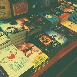 Profile da916c05300ce2fdd5d42836cf593bbb sagas3