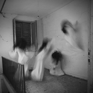 Profile ca5db1628522fb0163e5131d095171ae terror