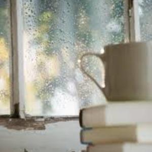 Profile 98679fdb5f4ae8b7136a7d0b76bc5394 tarde lluviosa cafe y manta