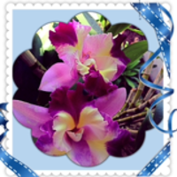 Profile 94297fa4b9705d2041e2a15f6824b938 542003